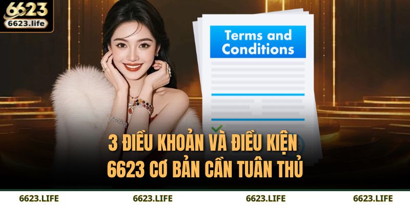3 điều khoản và điều kiện 6623 cơ bản cần tuân thủ