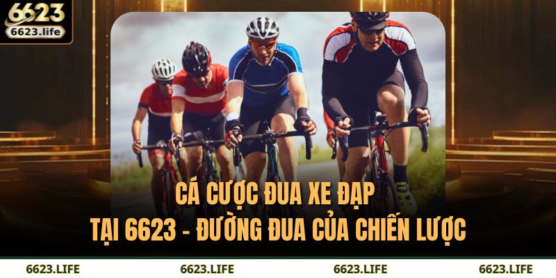 Cá Cược Đua Xe Đạp Tại 6623 – Đường Đua Của Chiến Lược 11 cá cược đua xe đạp