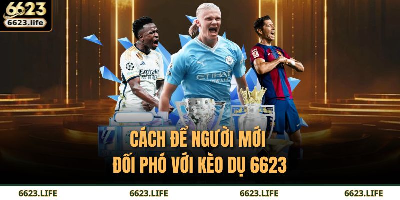 Phân Tích Kèo Dụ 6623 Và Chiến Lược Kiểm Soát Rủi Ro 4 Cách để thực chiến hiệu quả khi tham gia vào kèo dụ 6623