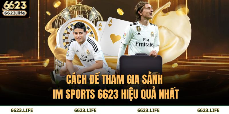 IM Sports 6623 – Không Gian Thể Thao Số Dành Dân Chuyên 4 Cách để tham gia sảnh IM Sports 6623 hiệu quả nhất