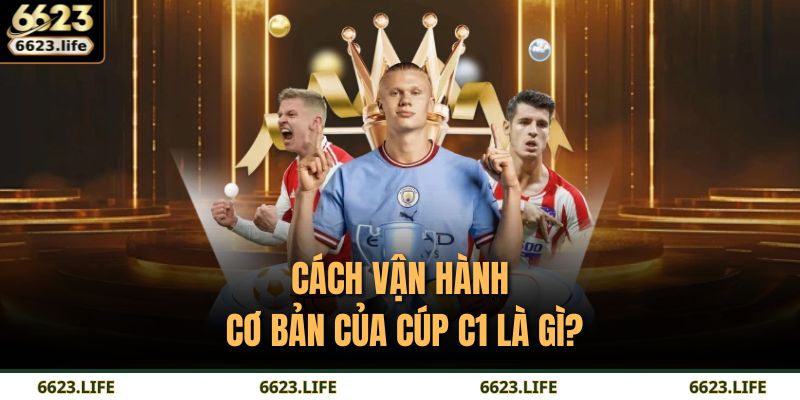 Cúp C1 Là Gì – Giải Đấu Danh Giá Bậc Nhất Châu Âu Tại 6623 3 Cách vận hành cơ bản của Cúp C1 là gì?