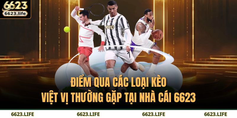 Kèo Việt Vị – Bí Quyết Đọc Trận Và Gia Tăng Cơ Hội Thắng 3 Điểm qua các loại kèo việt vị thường gặp tại nhà cái 6623