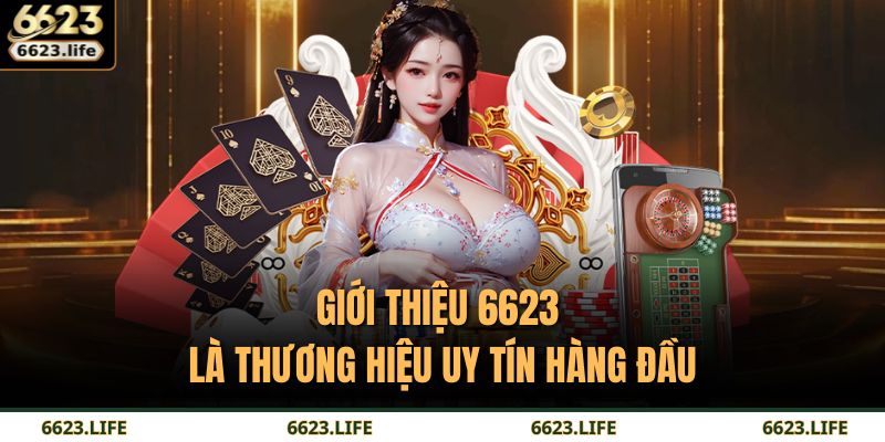 Giới Thiệu 6623 1 Giới thiệu 6623 là thương hiệu uy tín hàng đầu