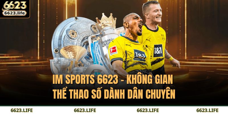IM Sports 6623 – Không Gian Thể Thao Số Dành Dân Chuyên 5 IM Sports 6623