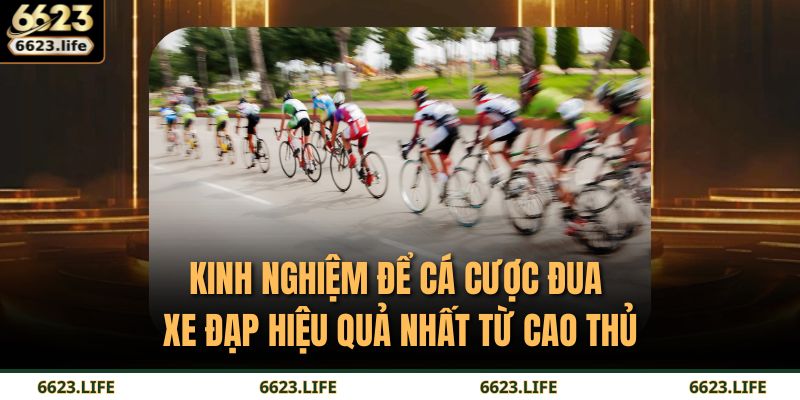 Cá Cược Đua Xe Đạp Tại 6623 – Đường Đua Của Chiến Lược 4 Kinh nghiệm để cá cược đua xe đạp hiệu quả nhất từ cao thủ
