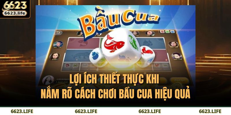Cách Chơi Bầu Cua Chuẩn Xác Và Hiệu Quả Tại Nhà Cái 6623 3 Lợi ích thiết thực khi nắm rõ cách chơi Bầu Cua hiệu quả
