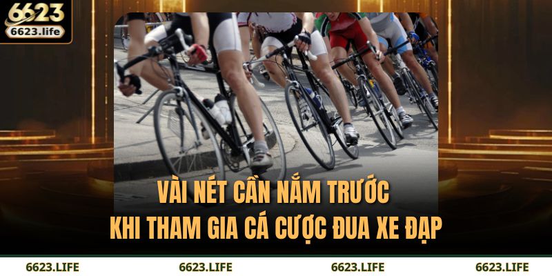 Cá Cược Đua Xe Đạp Tại 6623 – Đường Đua Của Chiến Lược 2 Vài nét cần nắm trước khi tham gia cá cược đua xe đạp